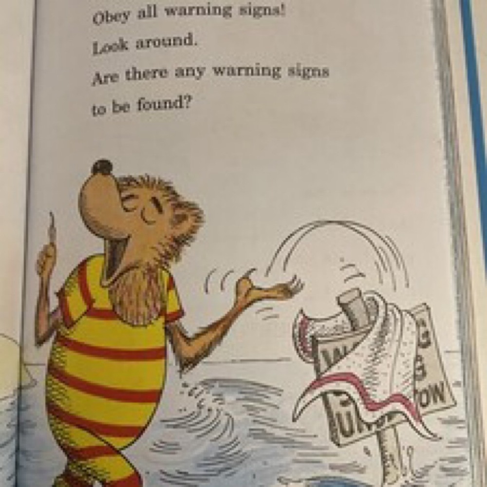 The Big Book of Berenstain Bears Beginner Books Children Stories Gift Toy Read - Picture 6 of 8